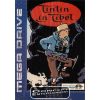 MD-Tintin-in_Tibet_2475