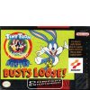 SNES_Tiny_Toon_Buster_Busts_Loose_1253