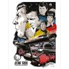WDC99761 Star Trek (Boldly Go) - 50th Anniversary Canvas Print