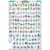 GBYDCO072 Pokemon Hoenn Pokemon English Maxi Poster