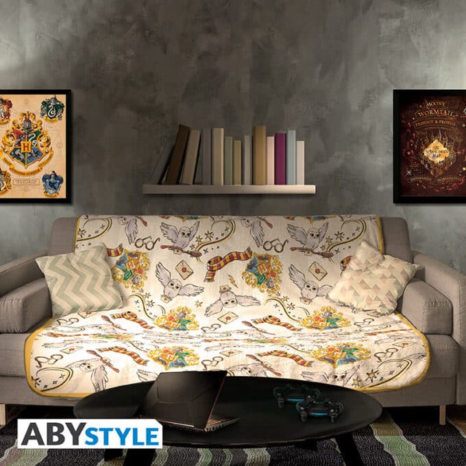 ABYHOM027 Harry Potter Harry's World Blanket a