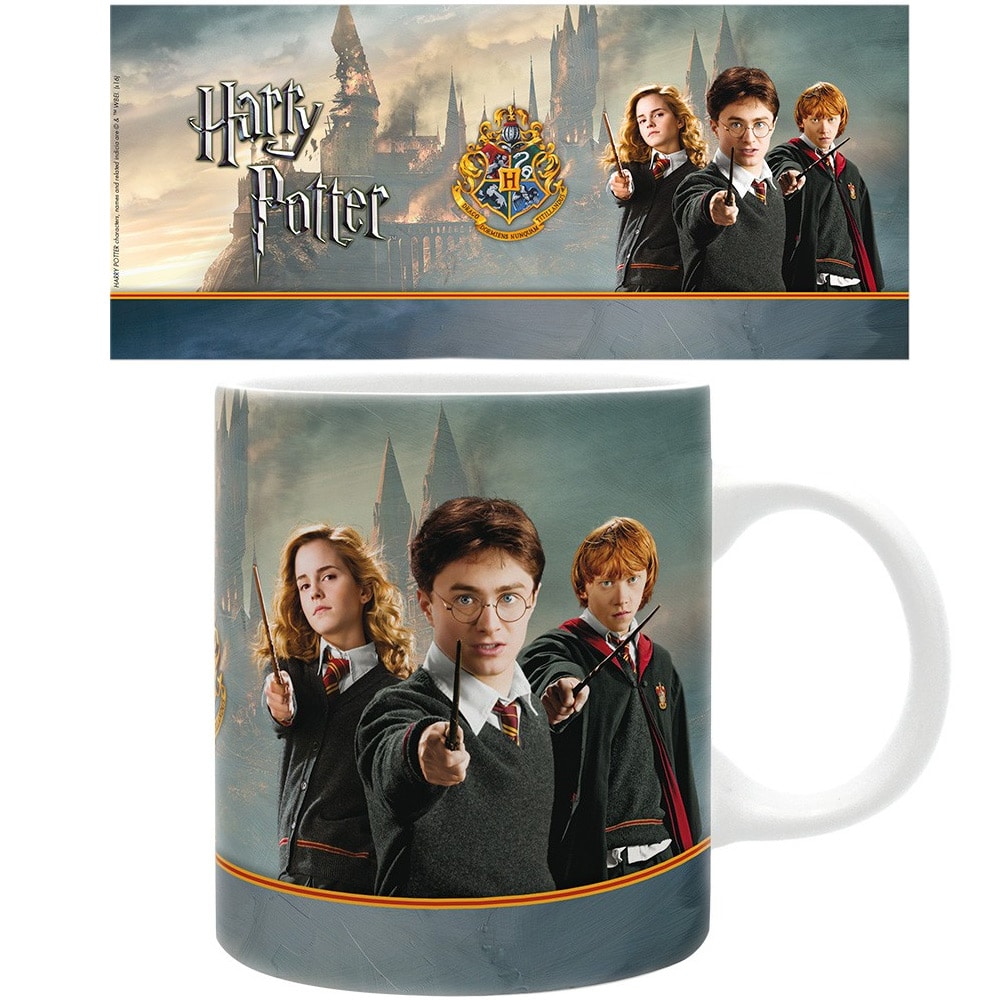 ABYMUG284 Harry Potter Harry Co Mug a.jpg