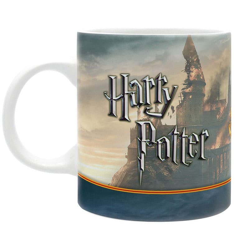ABYMUG284 Harry Potter Harry Co Mug b.jpg