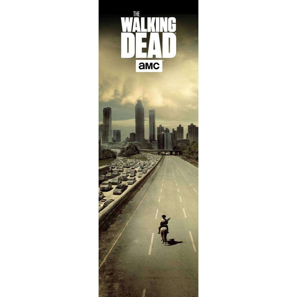 DP0544 Walking Dead The Dead City.jpg