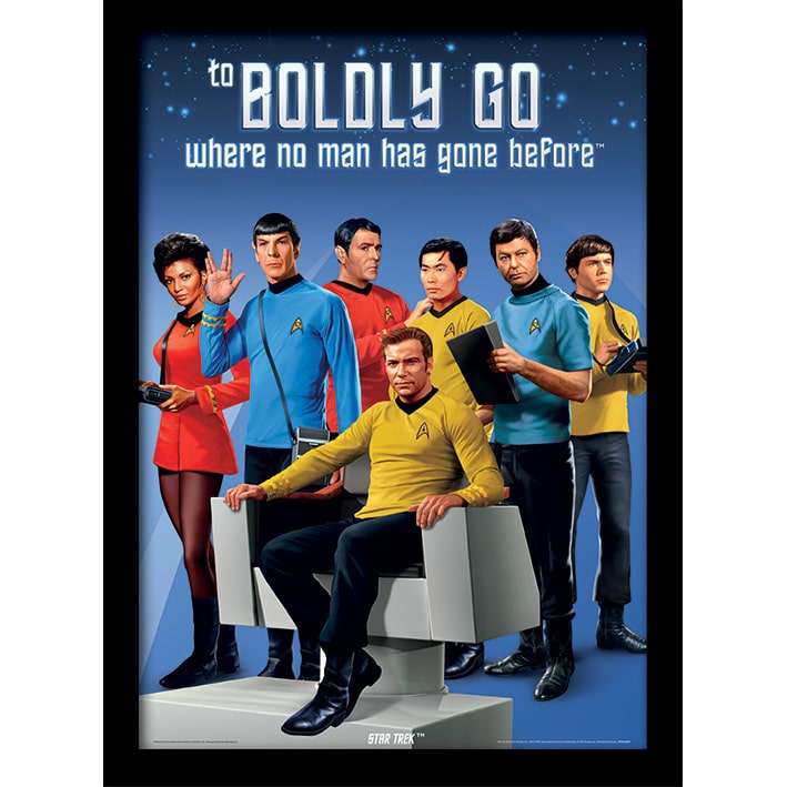 FP10445P Star Trek Boldly Go Framed Print.jpg