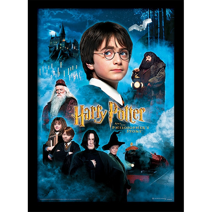FP10683P Harry Potter Philosophers Stone Framed Print.jpg