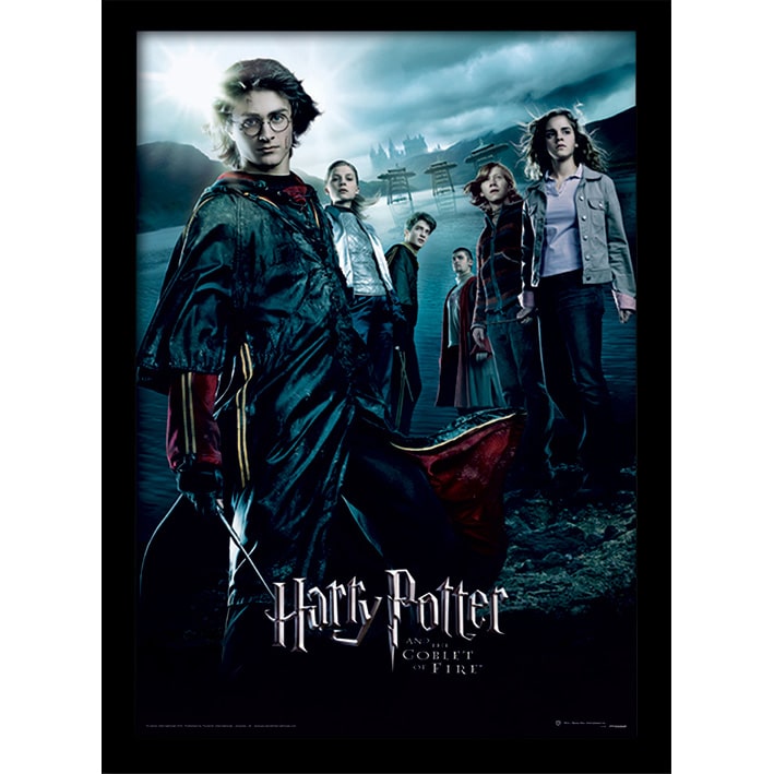 FP10686P Harry Potter Goblet Of Fire Framed Print.jpg