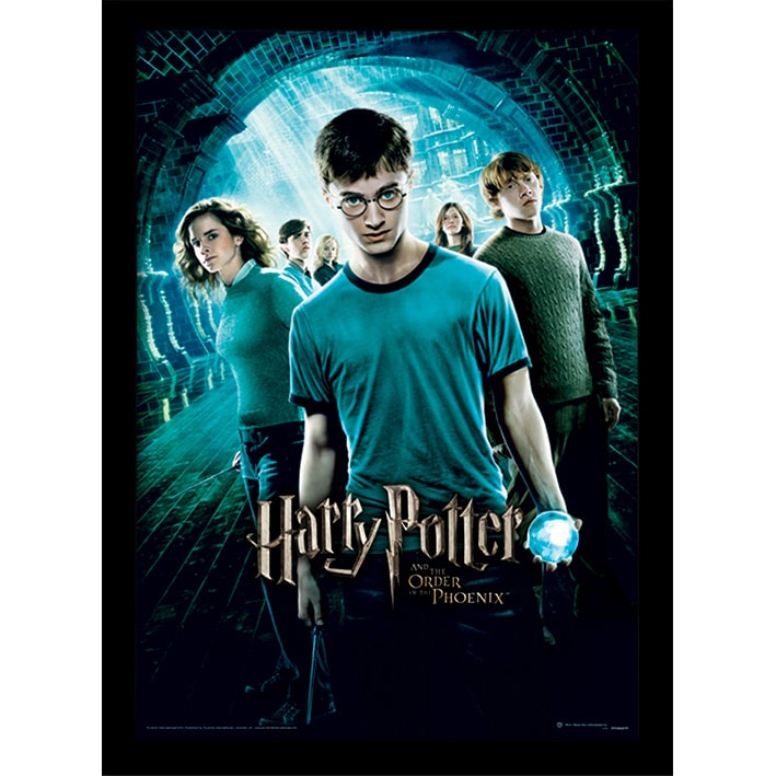 FP10687P Harry Potter Order Of The Phoenix Framed Print.jpg