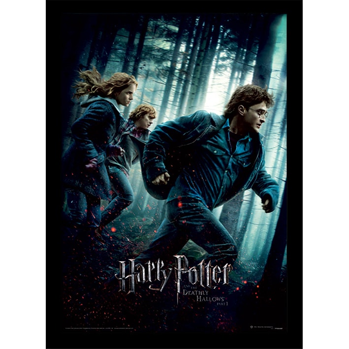 FP10688P Harry Potter Deathly Hallows Part 1 Framed Print.jpg
