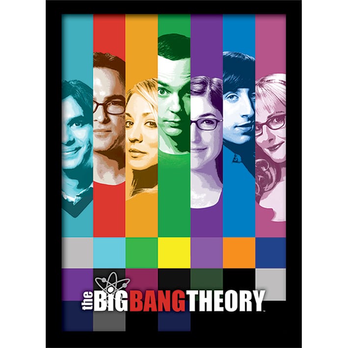 FP10992P The Big Bang Theory Signals Framed Print.jpg
