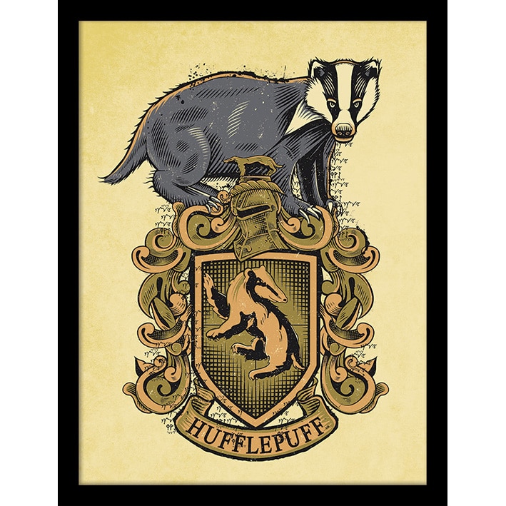 FP12323P Harry Potter Hufflepuff Framed Print.jpg