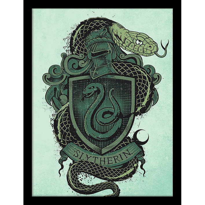 FP12325P Harry Potter Slytherin Framed Print.jpg