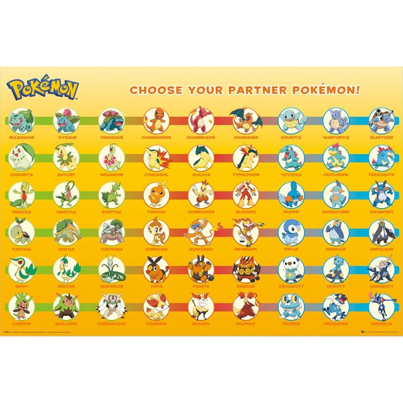 FP3829 Pokemon Partner Pokemon.jpg
