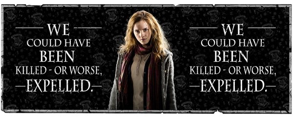 MG1921 Harry Potter Hermione Granger Quote Mug b.jpg