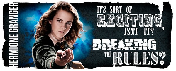 MG1931 Harry Potter Dynamic Hermione Mug b.jpg