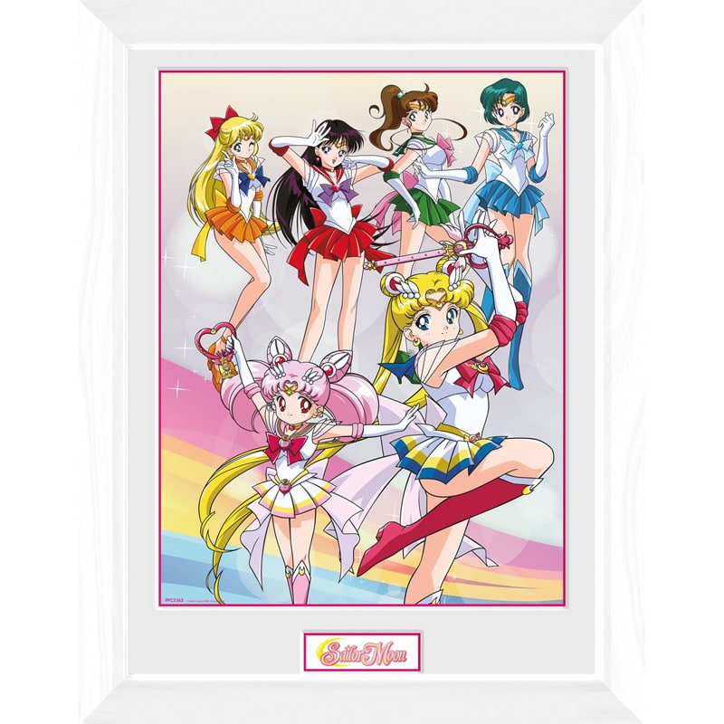 PFC2362 Sailor Moon Team Framed Print.jpg