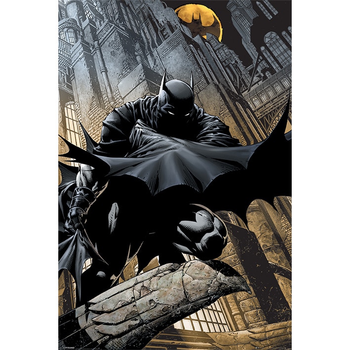 PP33733 Batman Night Watch Maxi Poster.jpg