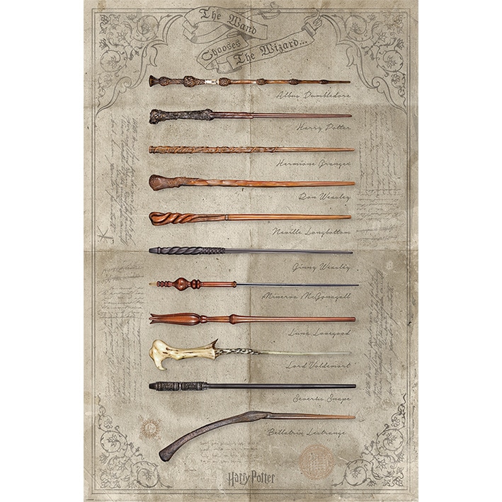 PP34395 Harry Potter The Wand Chooses The Wizard Maxi Poster.jpg