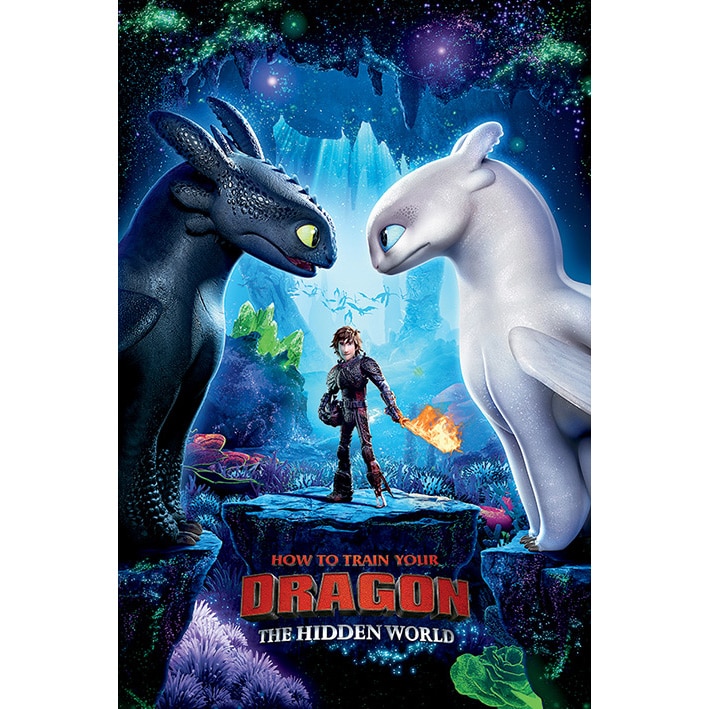 PP34451 How To Train Your Dragon One Sheet Maxi Poster.jpg