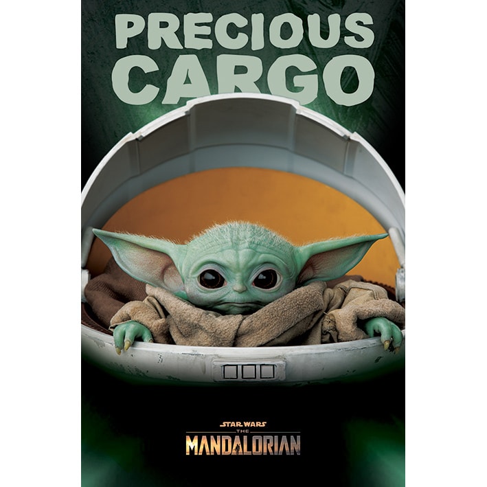 PP34610 Star Wars The Mandalorian Precious Cargo Maxi Poster.jpg
