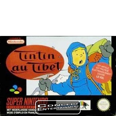 SNES Tintin in Tibet 1252.jpg