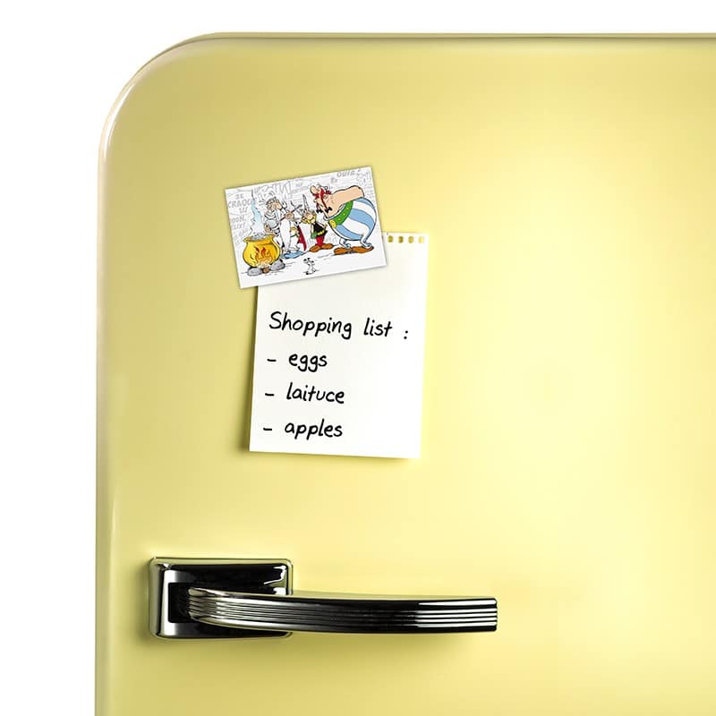 TGGMAG074 Asterix Magic Potion Magnet b.jpg