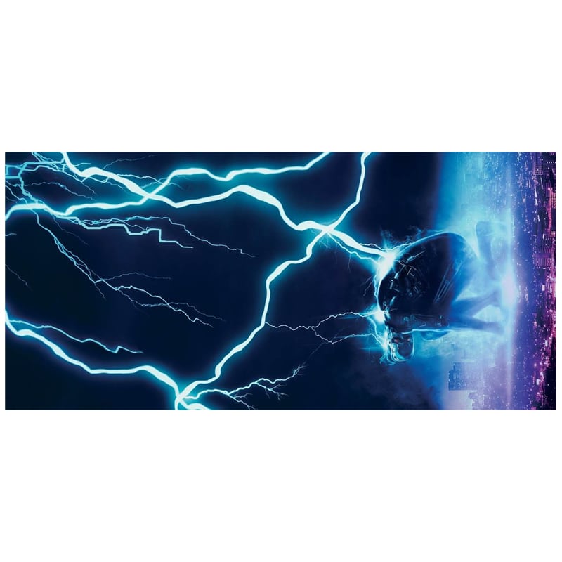 VINYL Terminator The d.jpg