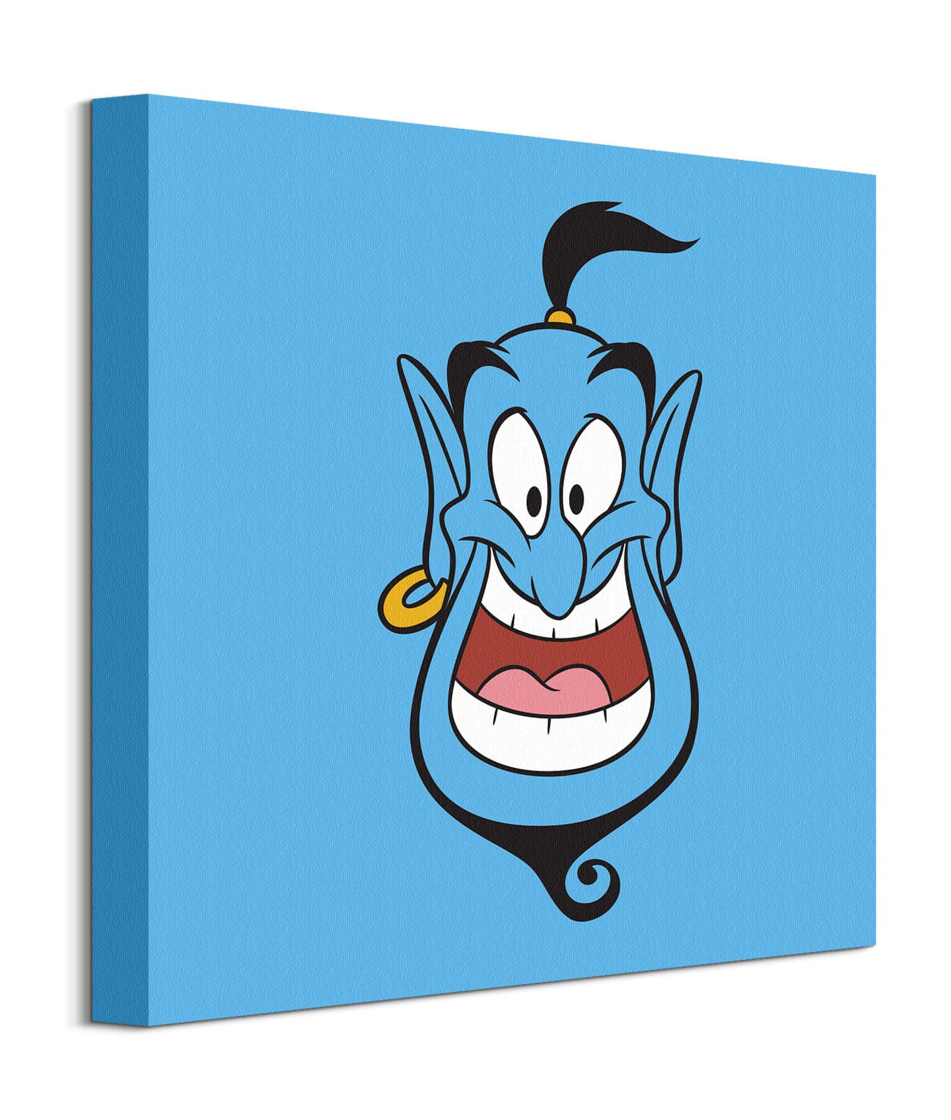 WDC101233 Aladdin Do my Corners Look Pointy to You Canvas Print b.jpg