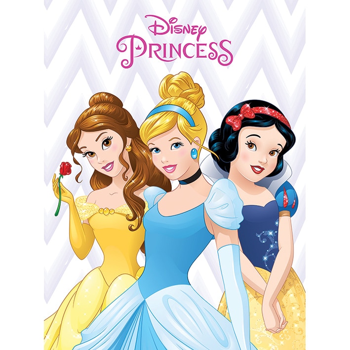 WDC92705 Disney Princess Belle Cinderella and Snow White Canvas Print a.jpg