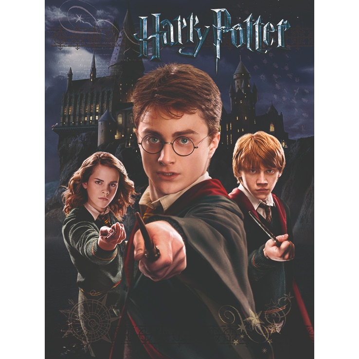 WDC94234 Harry Potter Harry Ron Hermione Canvas Print a.jpg