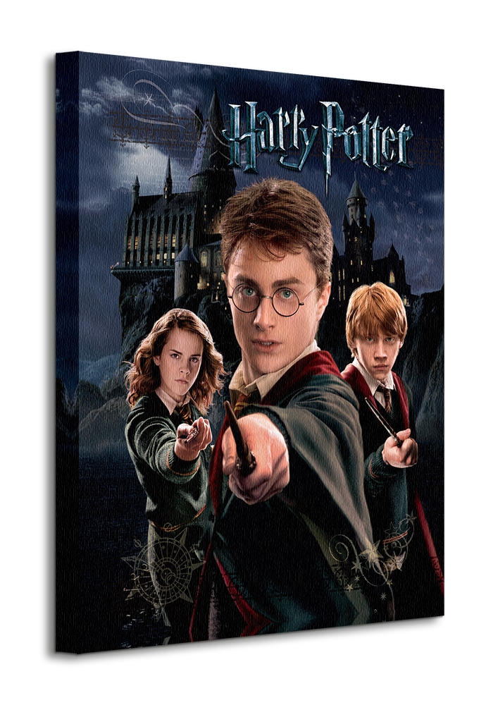WDC94234 Harry Potter Harry Ron Hermione Canvas Print b.jpg