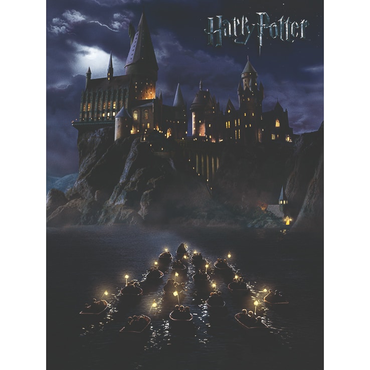 WDC94238 Harry Potter Hogwarts School Canvas Print a.jpg