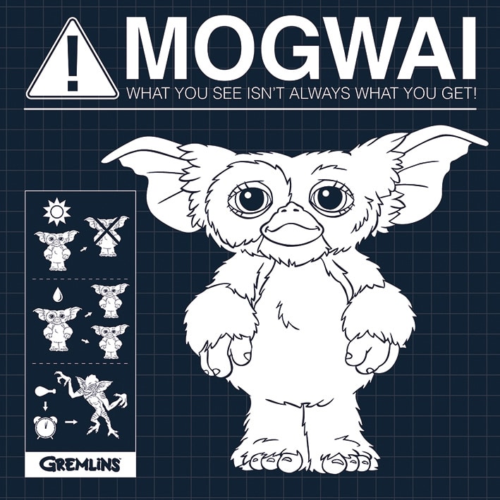 WDC95487 Gremlins Mogwai Rules Canvas Print a.jpg