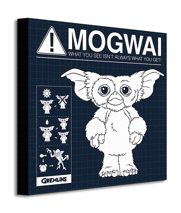 WDC95487 Gremlins Mogwai Rules Canvas Print b.jpg
